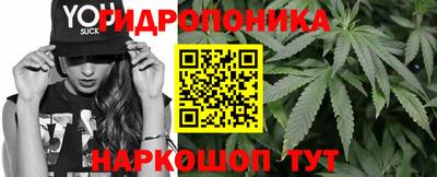 Альфа ПВП Краснознаменск