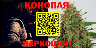 Альфа ПВП Краснознаменск