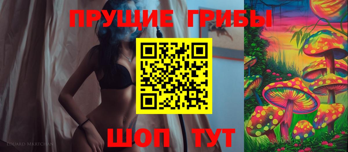 Кингисепп  Псилоцибиновые грибы Cubensis  Вход с VPN 